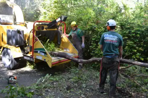 tree services Centennial